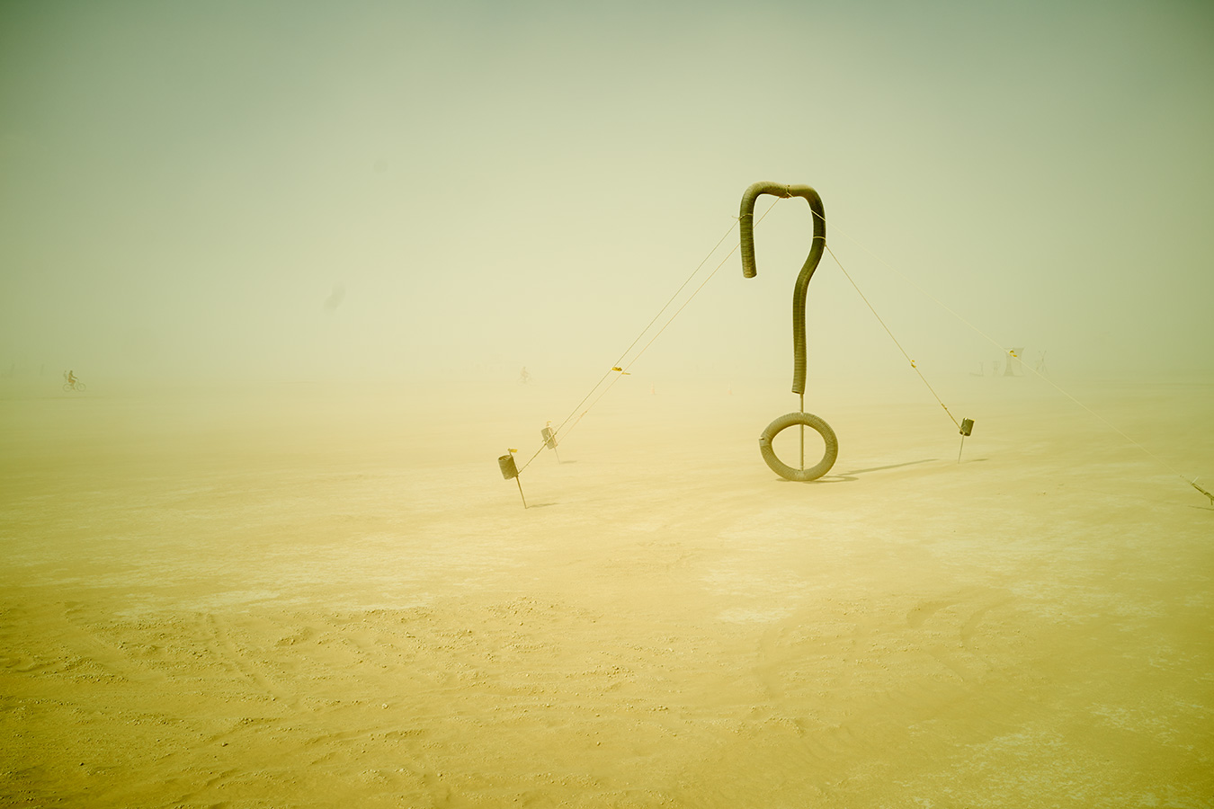 Uwe Duettmann - Du könntest schwimmen, wie Delphine es tun