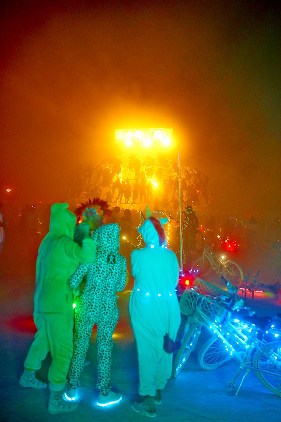 Uwe Duettmann - Du könntest schwimmen, wie Delphine es tun