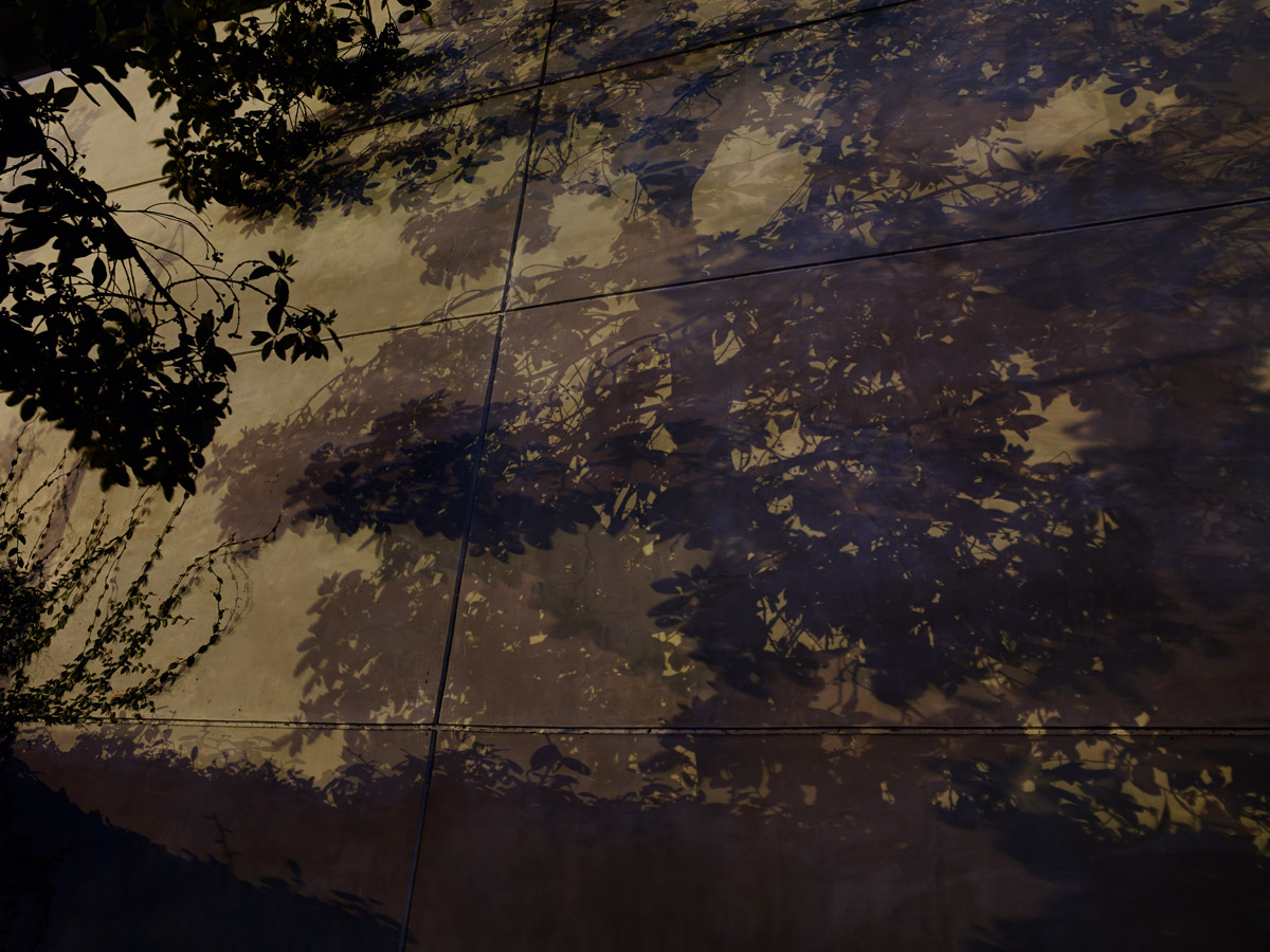 Uwe Duettmann - Autumn 15