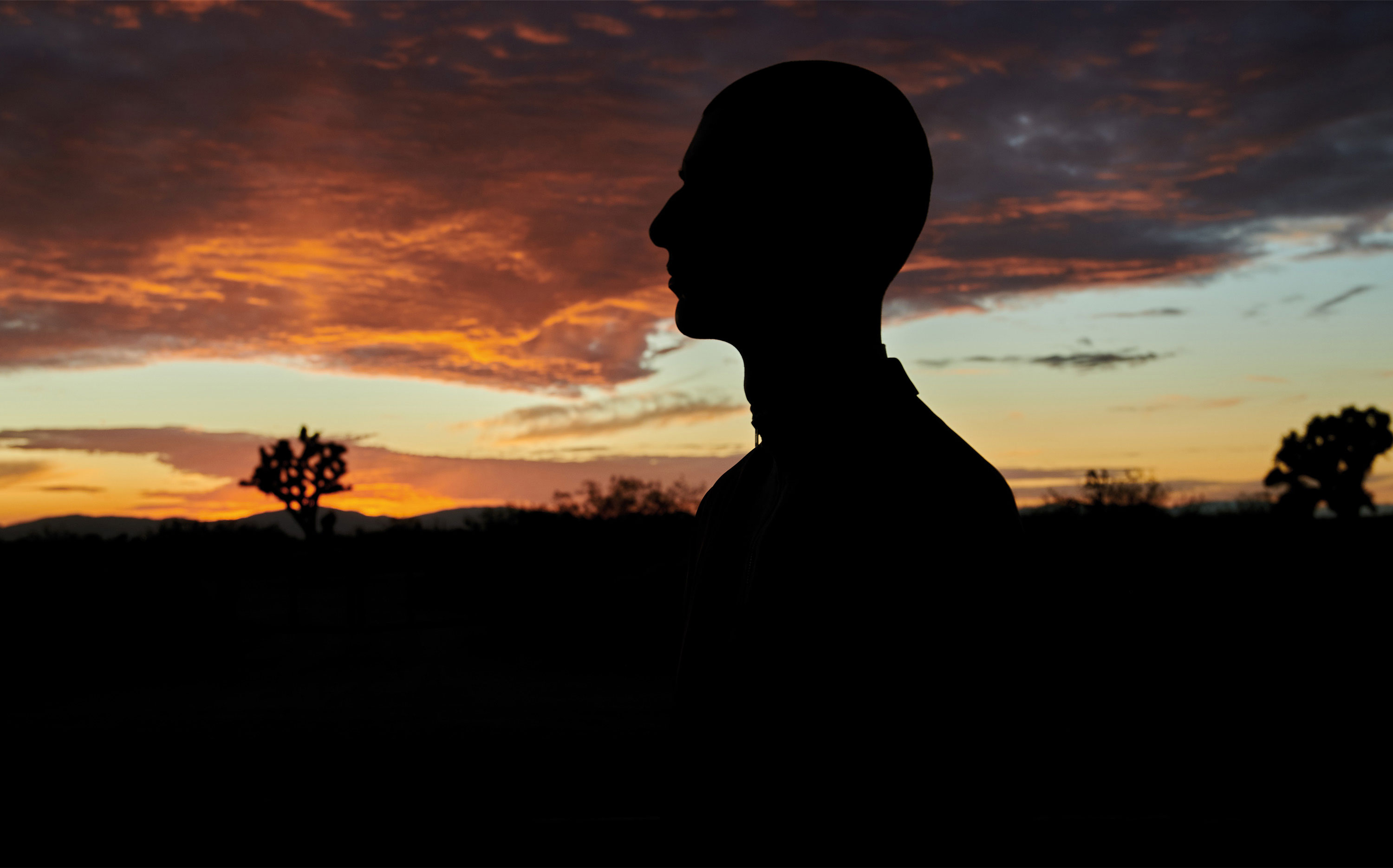 Uwe Duettmann - BMW Look Frank