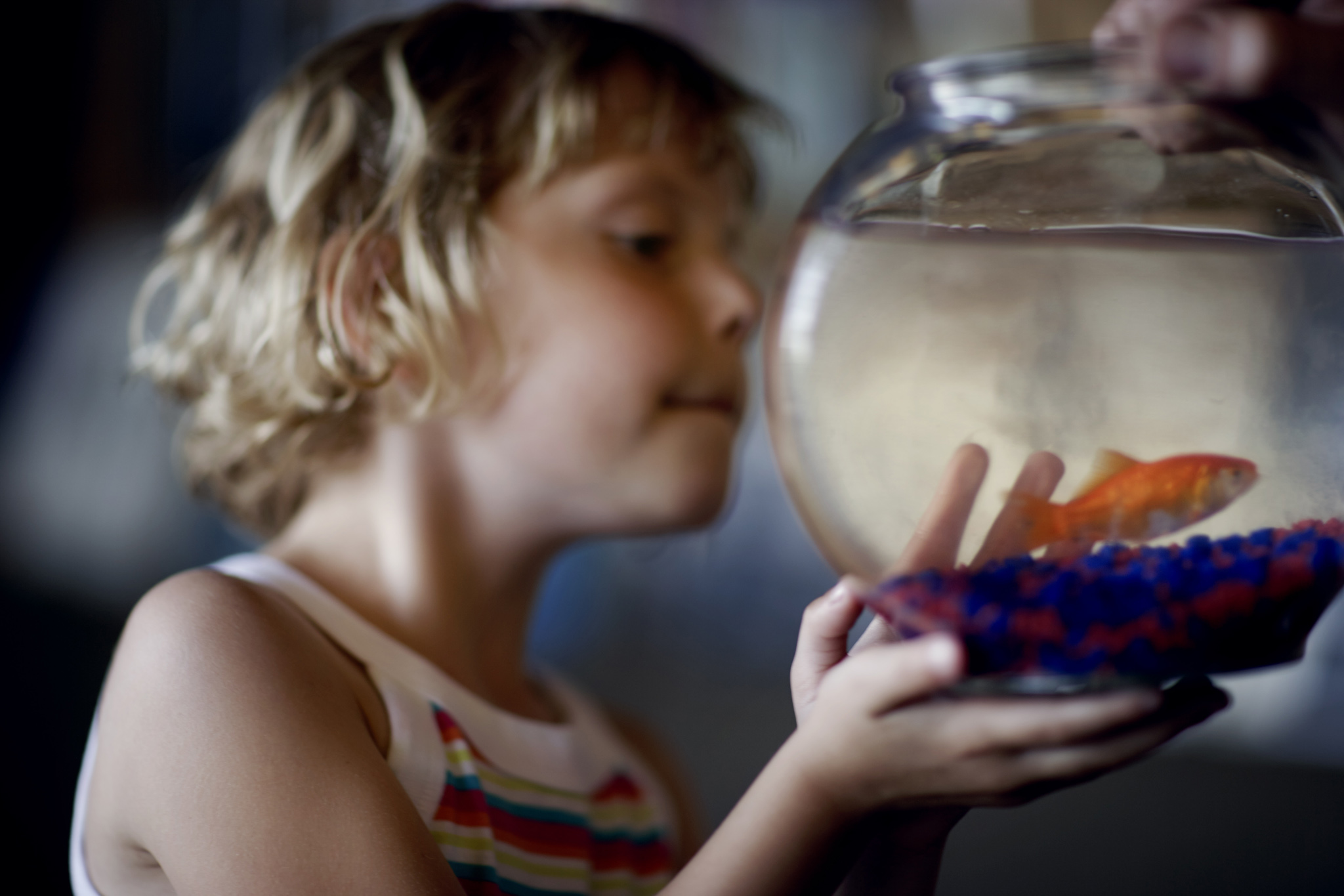 Uwe Duettmann - Here today, gone tomorrow