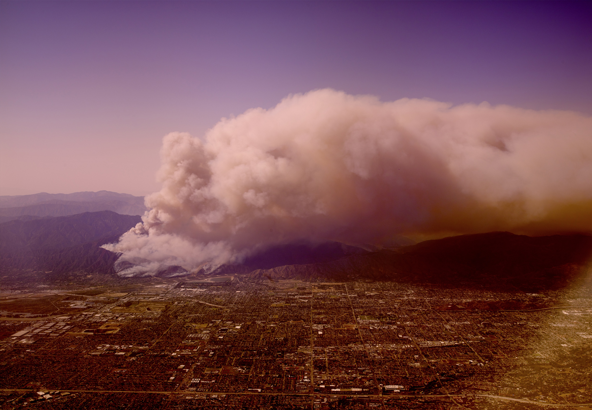 Uwe Duettmann - Here today, gone tomorrow