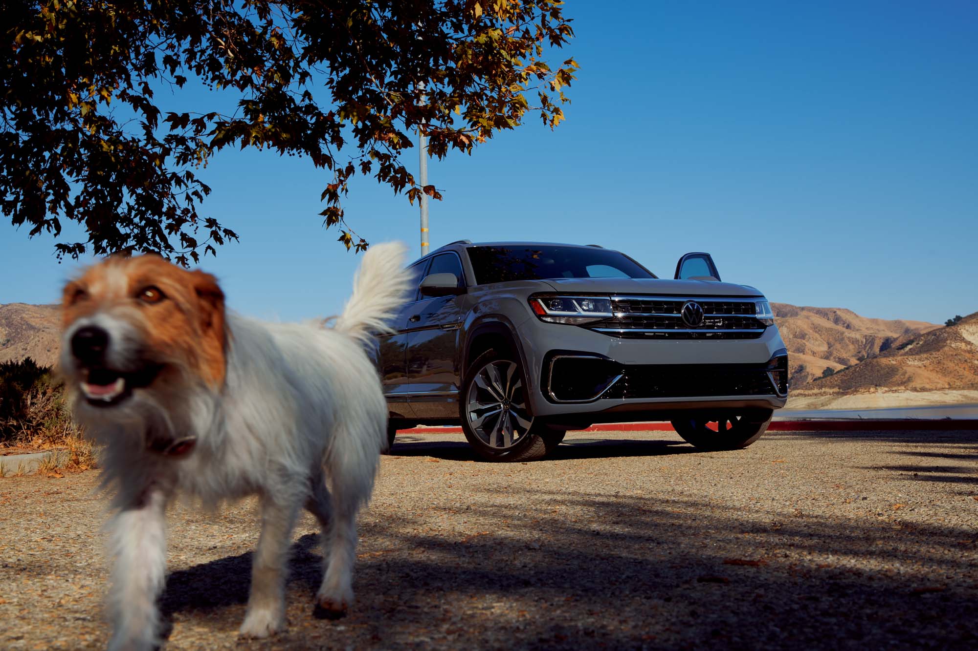 Uwe Duettmann - VW Atlas